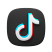 TikTok SMM Panel